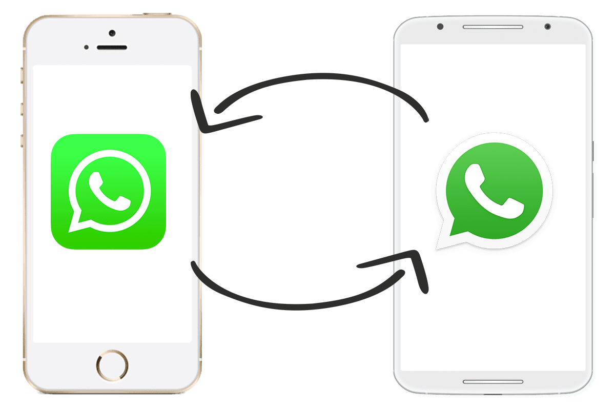 WhatsApp Transfer Service Singapore