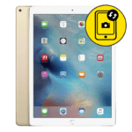iPad Pro 12.9 Silver Camera Replacement