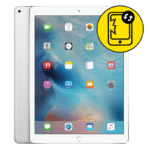 iPad Pro 9.7 Silver Screen Replacement